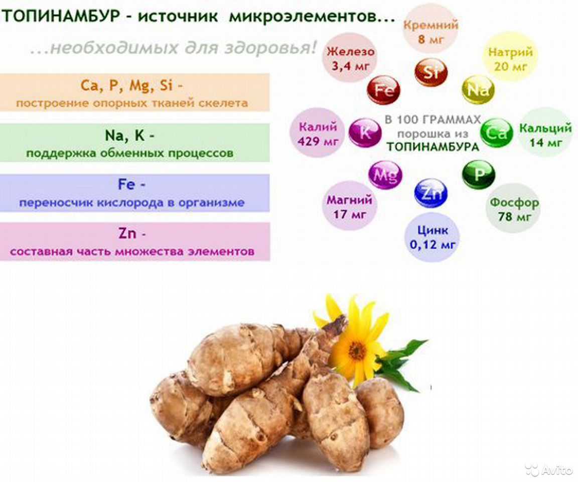 Сироп топинамбура: польза и вред для организма