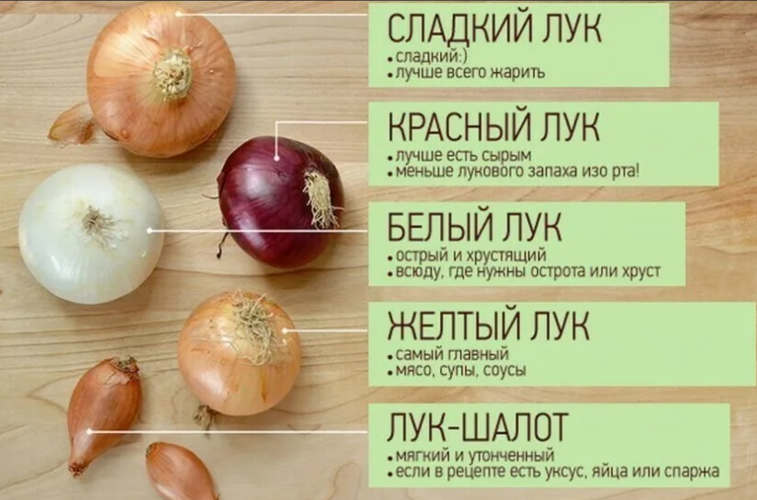 ✅ что будет, если есть лук каждый день: польза и вред, нормы употребления - tehnoyug.com