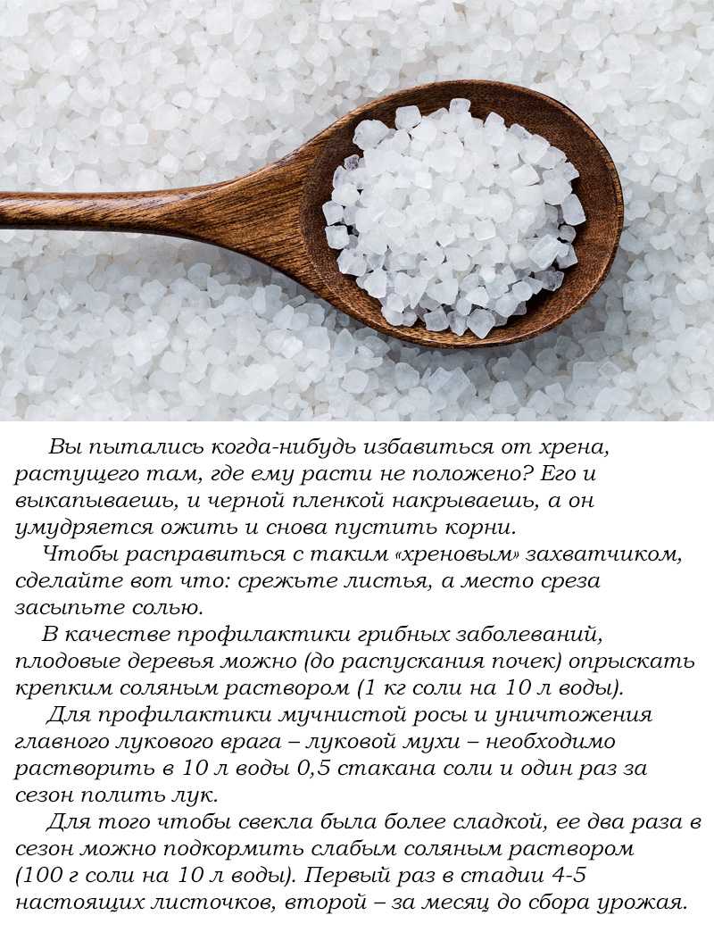 Как избавиться от хрена на огороде эффективными методами