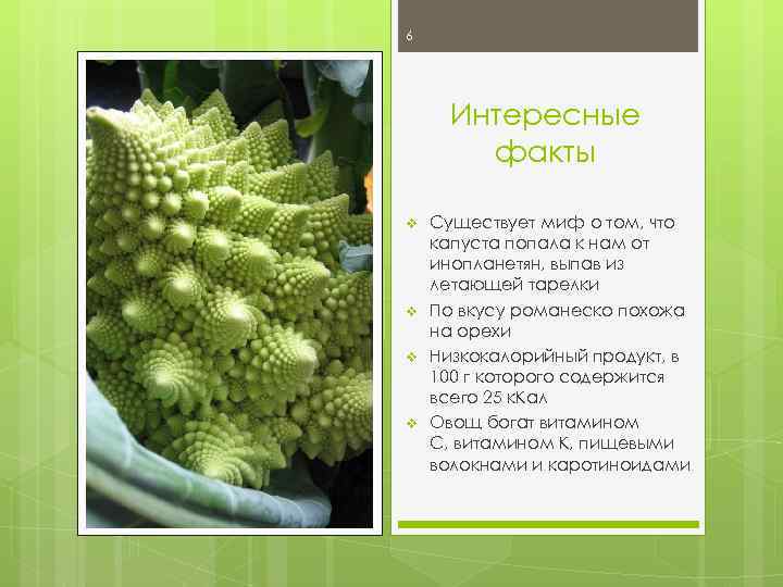 Капуста романеско – что это такое, и с чем ее едят