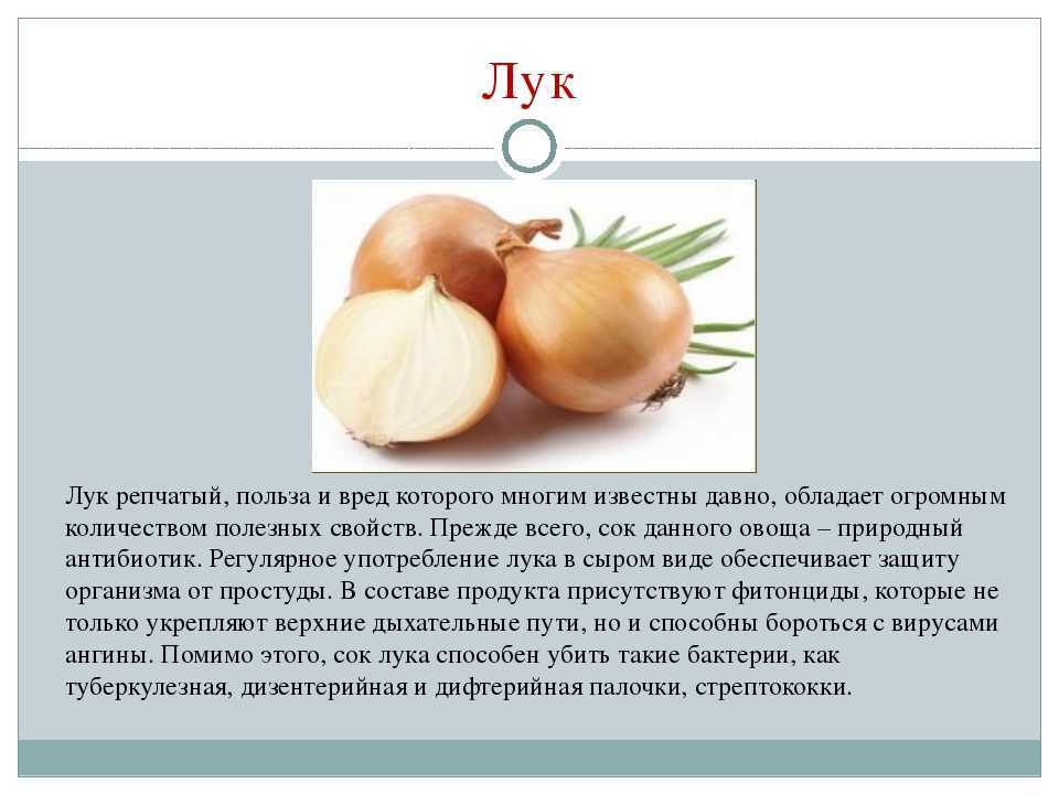 Какие фрукты можно и нельзя употреблять во время беременности? • центр гинекологии в санкт-петербурге