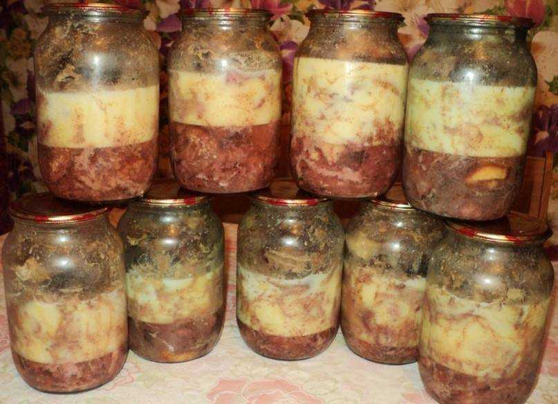 Тушенка в домашних условиях: рецепты из свинины, говядины, кролика, птицы, приготовление в духовке, мультиварке, автоклаве + отзывы