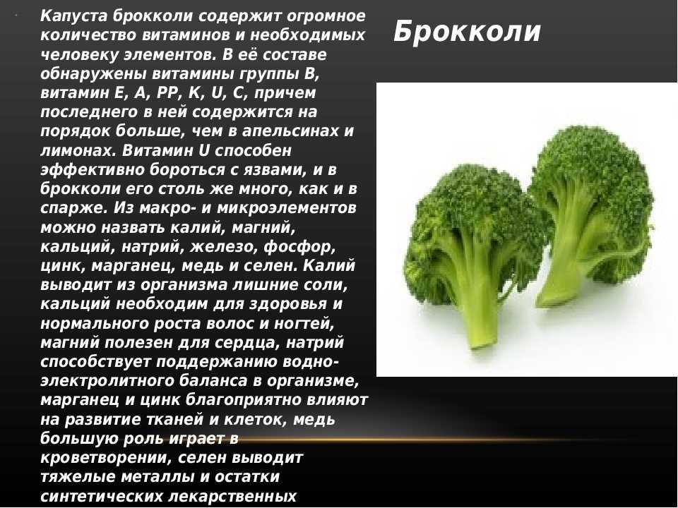 Чем полезна капуста брокколи для здоровья и ее вред