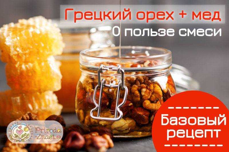 Как сделать орехи с мёдом - вкусное и полезное лакомство