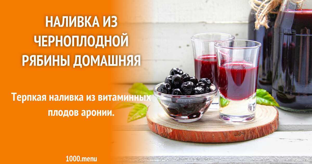Настойка из черноплодной рябины на водке как готовить и применять