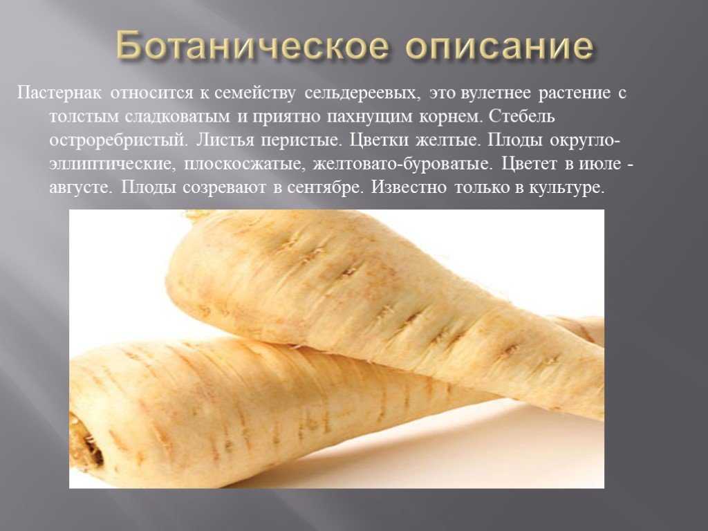 8 растений, похожих на петрушку: пряные травы, ядовитый сорняк и даже растение-убийца, — а что растет у вас?