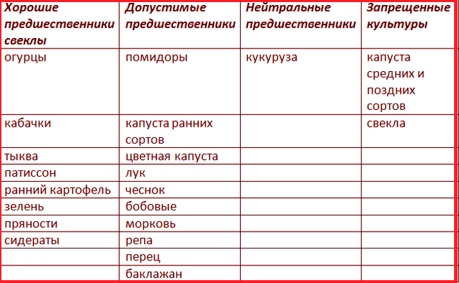 Что можно сажать после лука на следующий год на грядке, таблица