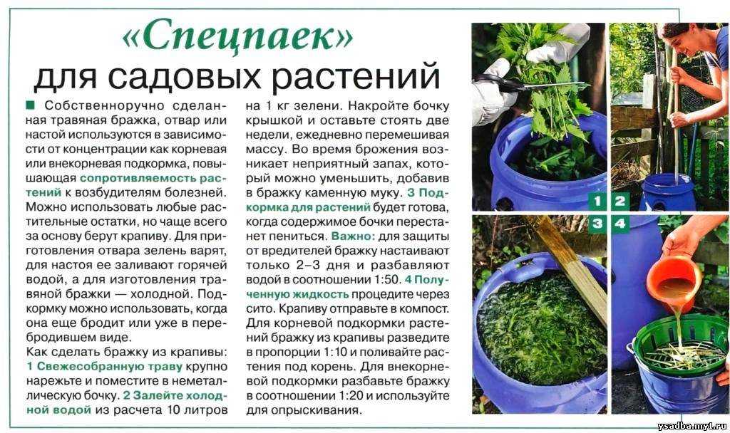 Удобряем свежим навозом: рекомендации из практики