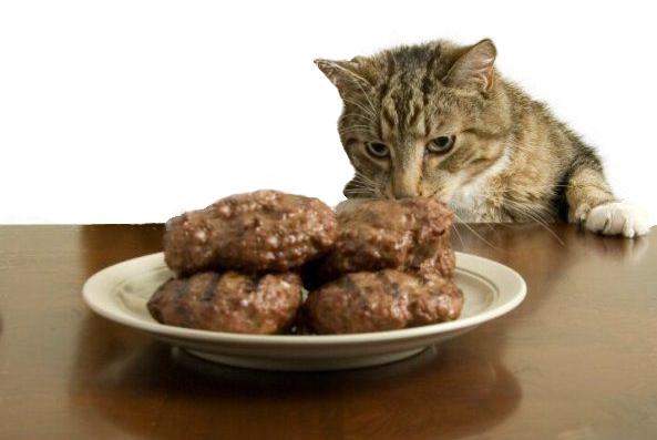Почему котлеты разваливаются при жарке? что делать?