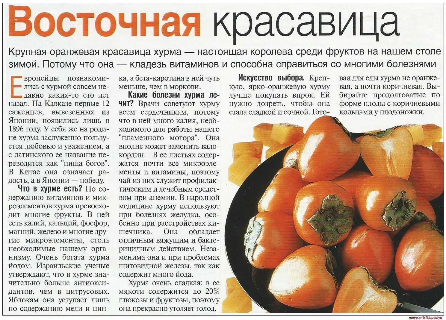 Хурма на ночь при похудении – можно ли вечером на диете, калорийность