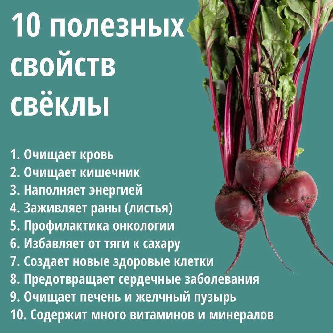 Свекла - вкусный и полезный продукт В статье описана история и правила использования свеклы и собран рецепты приготовления блюд из свеклы