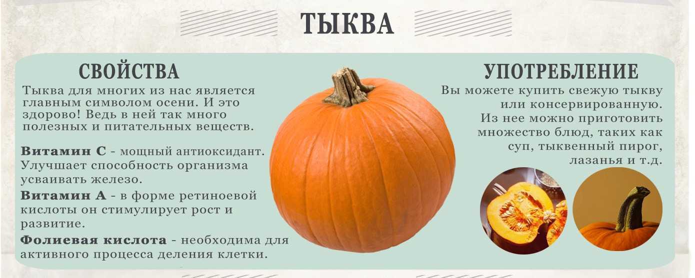 Тыква: выращивание и уход в открытом грунте, как и сколько она растет, фото кустов и готовых плодов, секреты опытных фермеров