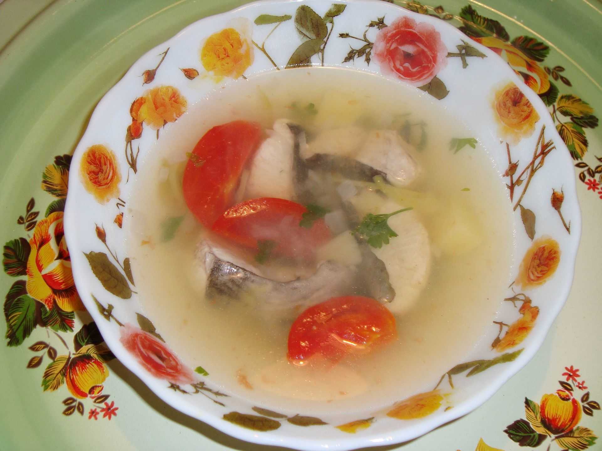 Уха из сома – наваристая и очень вкусная: рецепты в домашних условиях и на костре - onwomen.ru