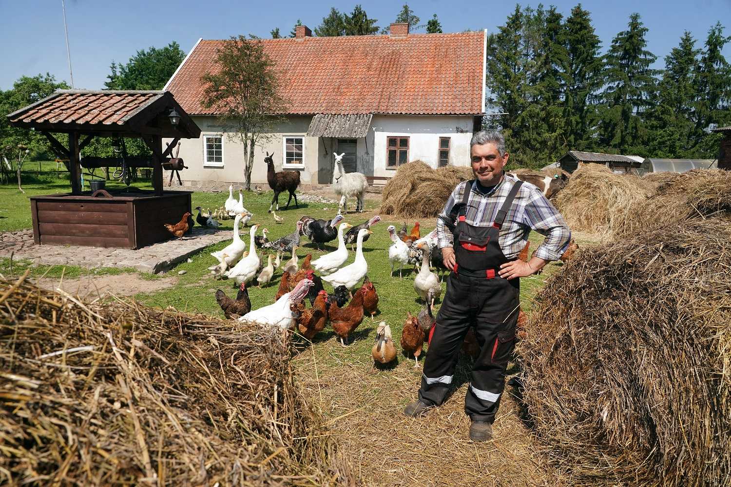 Сельский туризм как бизнес