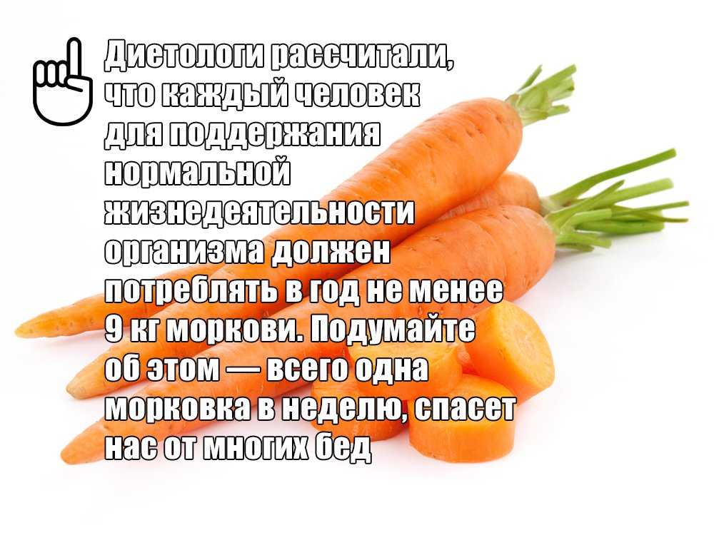 Полезна ли морковь: свойства, вещества, сколько можно, рецепты