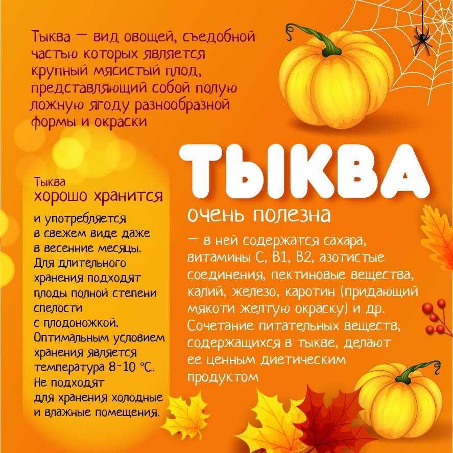Тыква – польза и вред для организма, состав и калорийность
