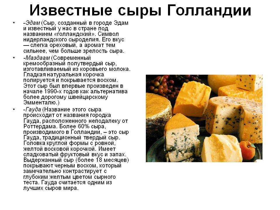 Сырное ассорти со всего света | horeca-magazine.ru