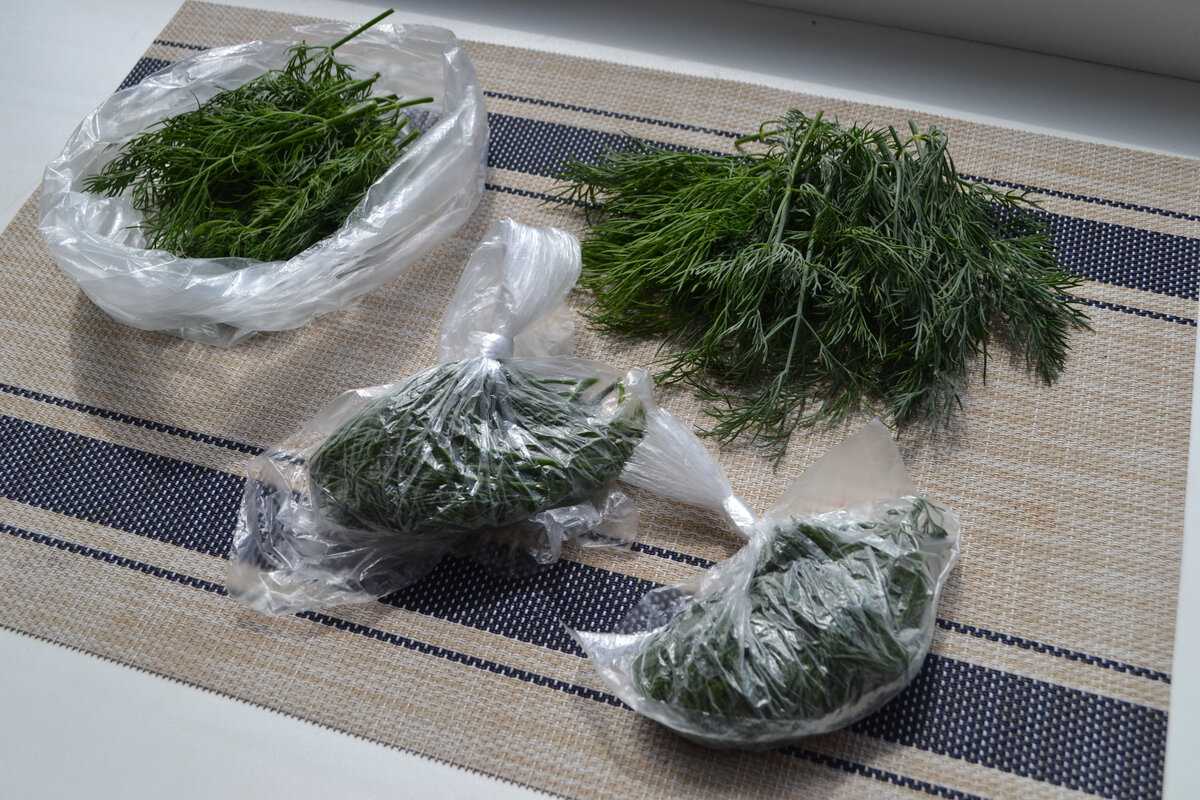 Заморозка зелени на зиму в домашних условиях: как заморозить, полезные советы