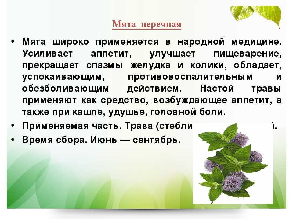 С какого возраста можно давать ребенку чай
