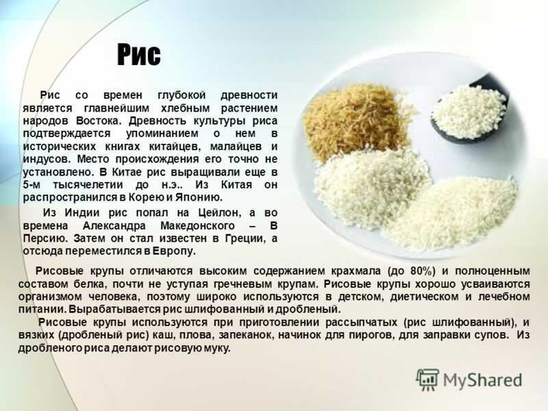 Все о рисе: ликбез по сортам и свойствам