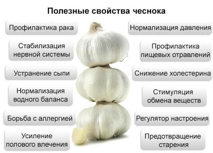 Свекла для печени, польза и вред, особенности применения при печеночных нарушениях, рецепты для очищения организма