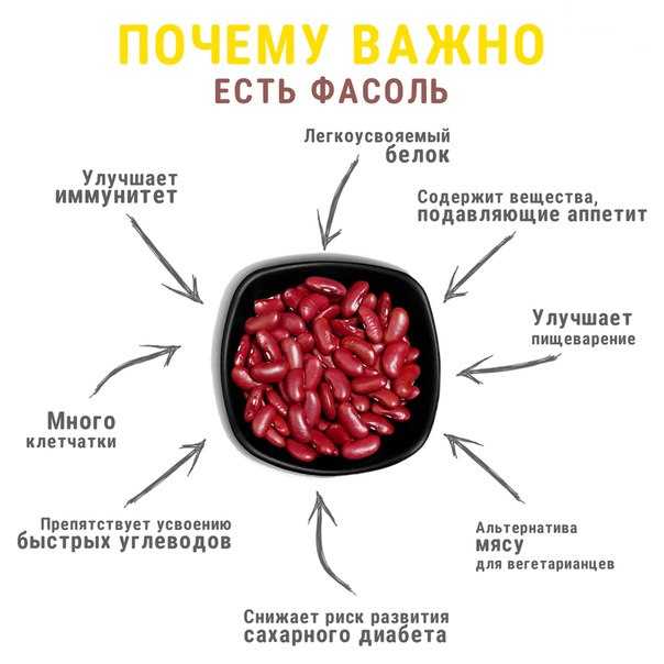 Стручковая фасоль — польза и вред
