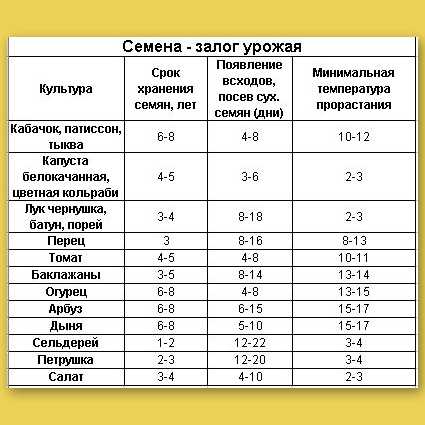 Как отличить семена петрушки от семян моркови: советы и рекомендации