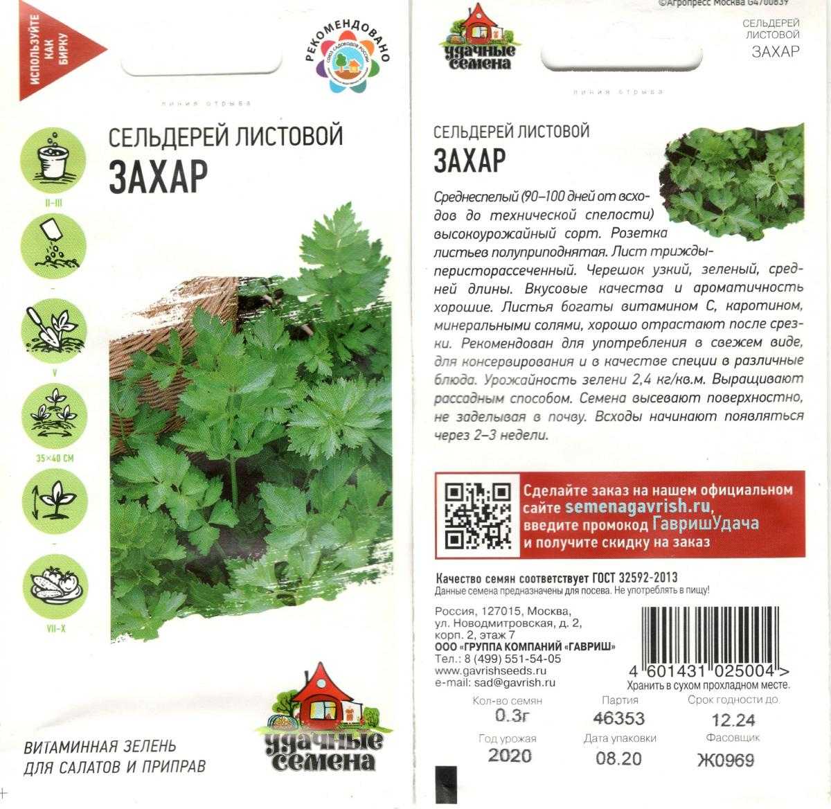 Сорта и выращивание сельдерея, подготовка семян, выращивание рассады сельдерея — floraprice.ru