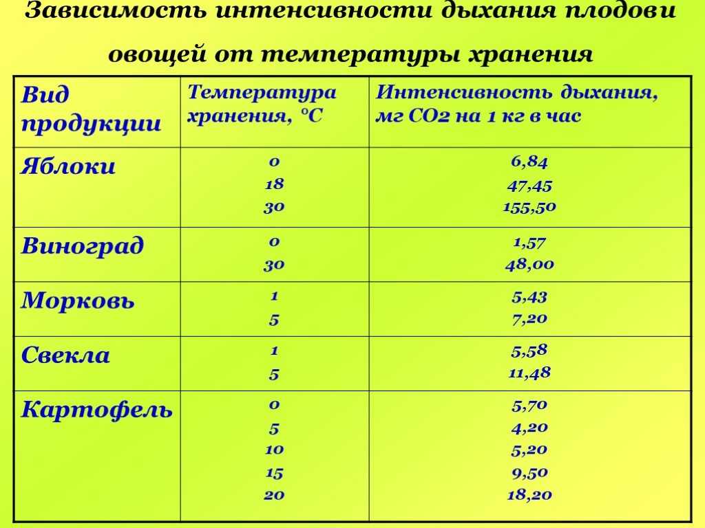 Секреты, как правильно хранить картошку на зиму в погребе и на балконе.