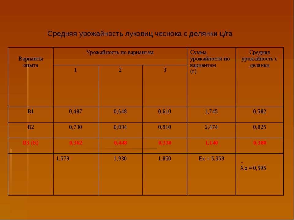 Урожайность чеснока с 1 сотки и 1 га: сколько можно вырастить корнеплодов с площади в гектар в россии в разных регионах, а также факторы влияющие на результат
