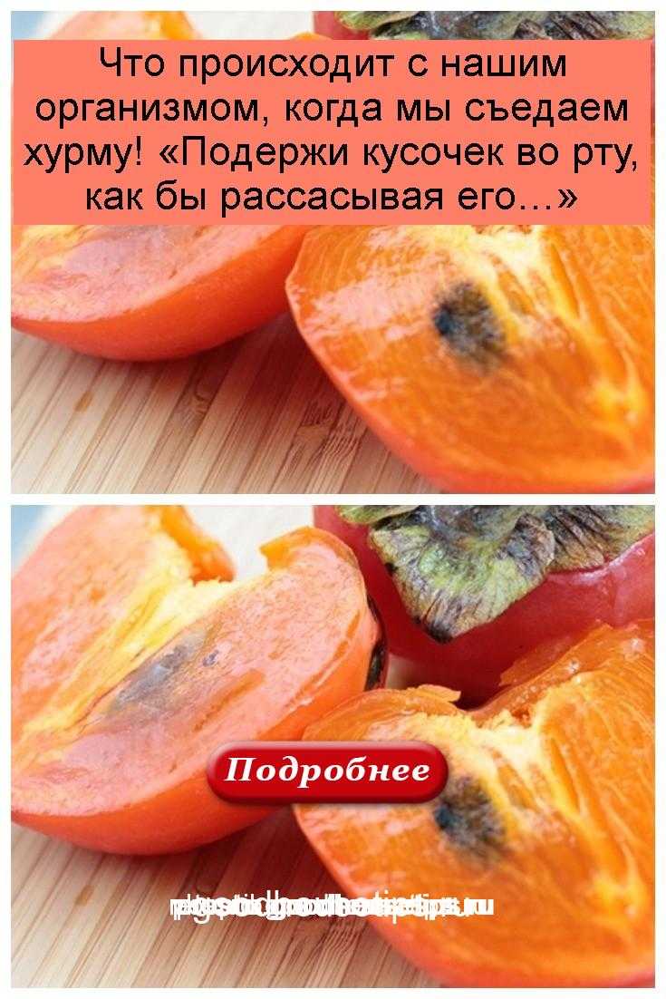 Хурма: польза и вред для организма