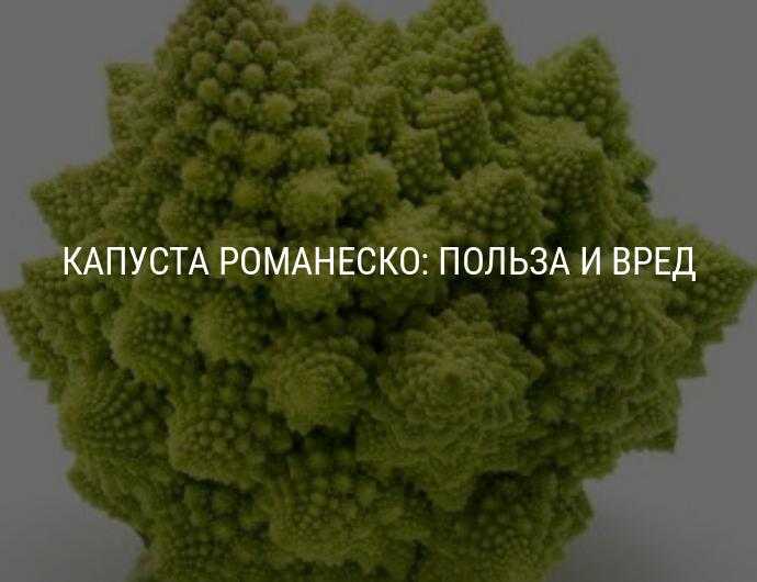 Капуста романеско - польза и вред, как готовить, рецепты, выращивание