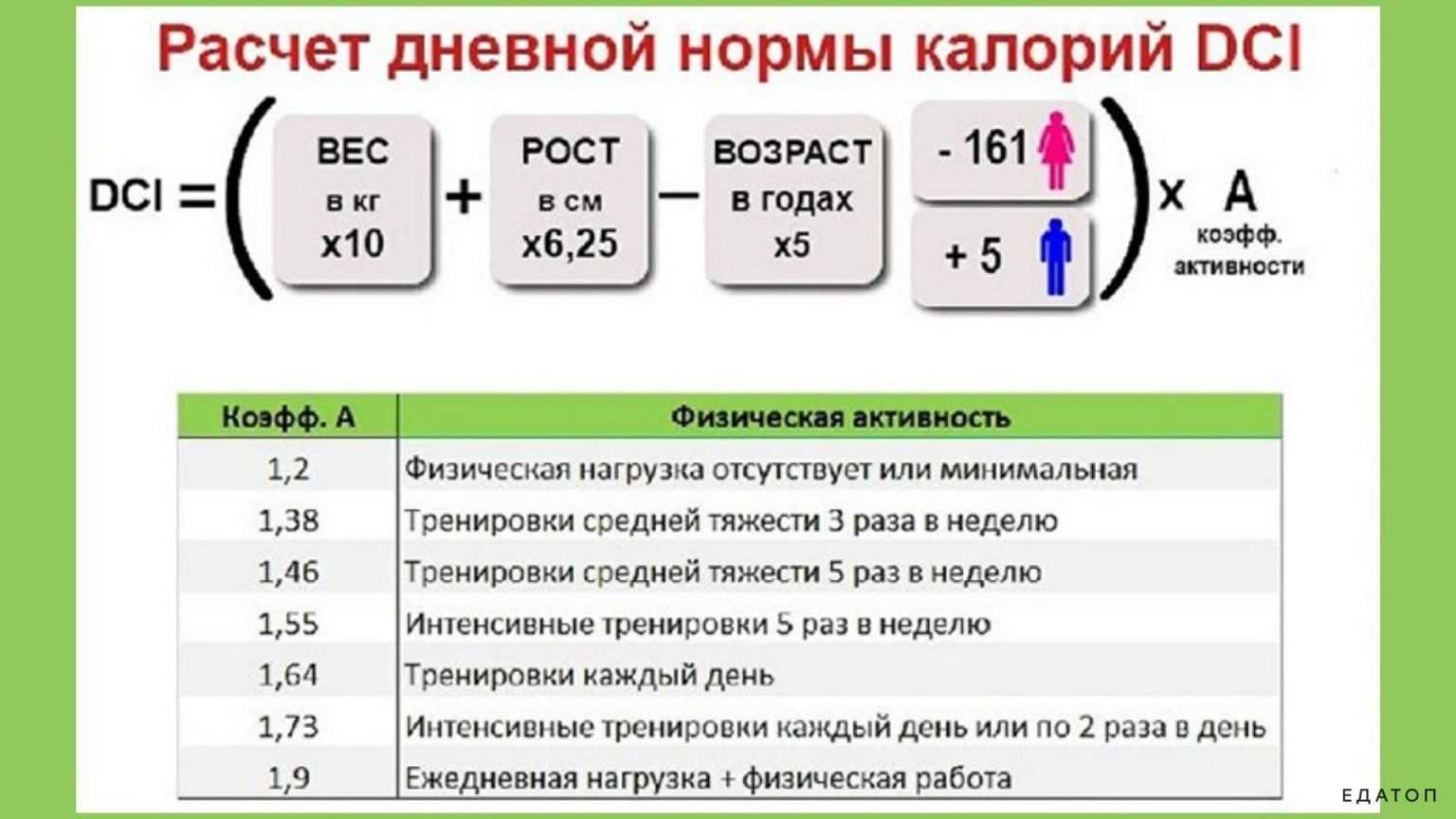 Как считать калории и бжу рациона: простая инструкция