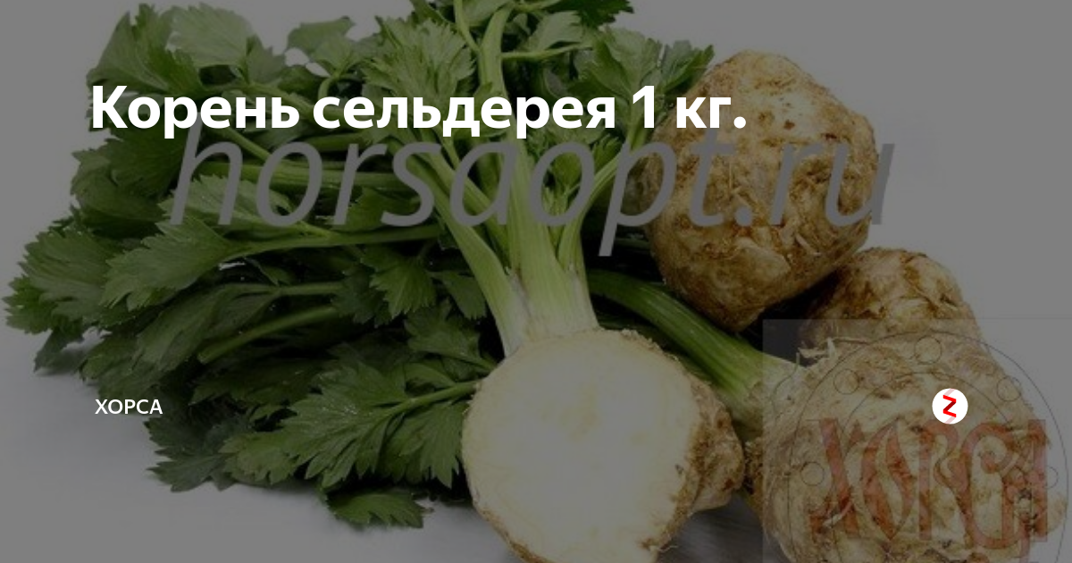 Корень сельдерея для детей. можно ли сельдерей годовалому ребенку