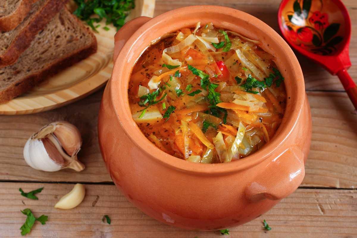 Щи из свежей капусты с курицей – 7 вкусных рецептов приготовления