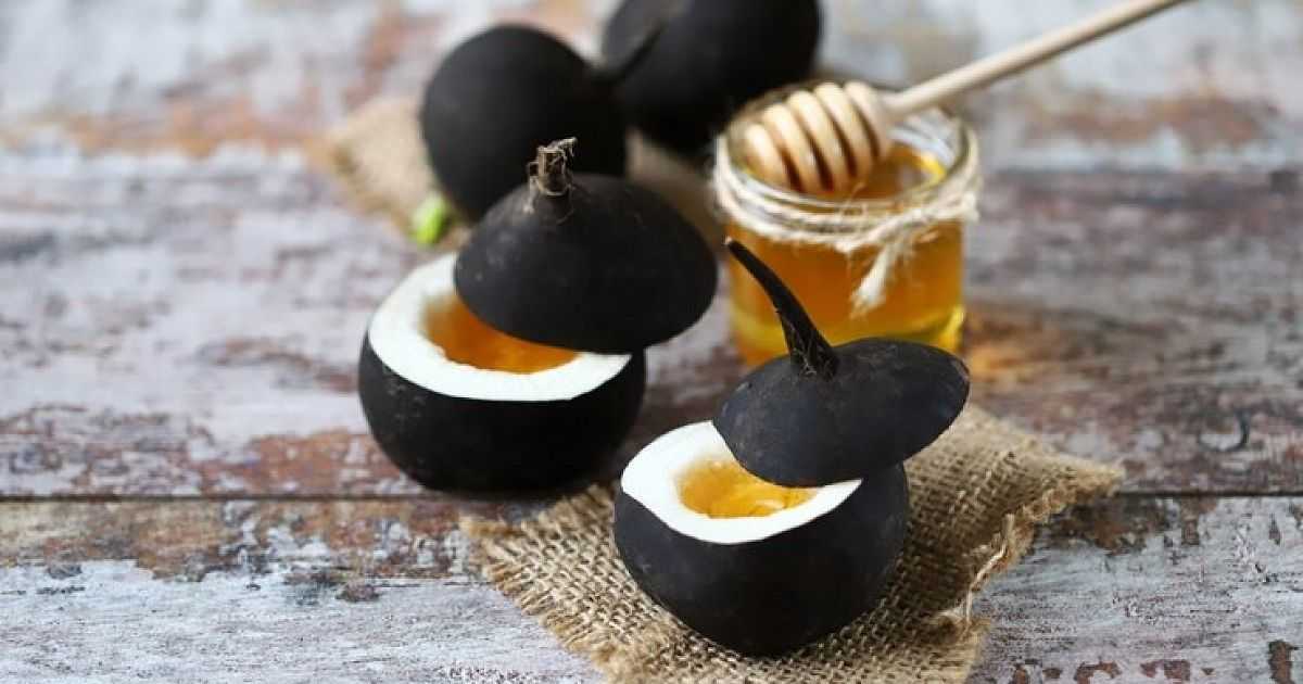 5 способов приготовить редьку с медом от кашля: эффективные рецепты для детей и взрослых