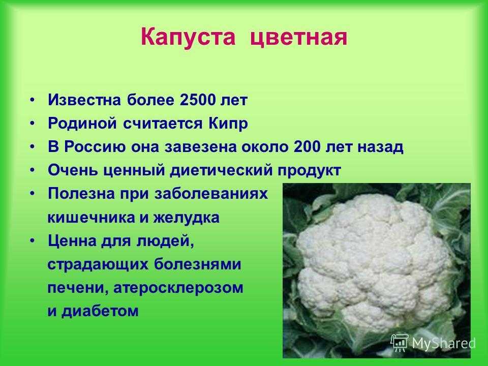 Что такое цветная капуста: как выглядит, почему так называется, виды и сорта