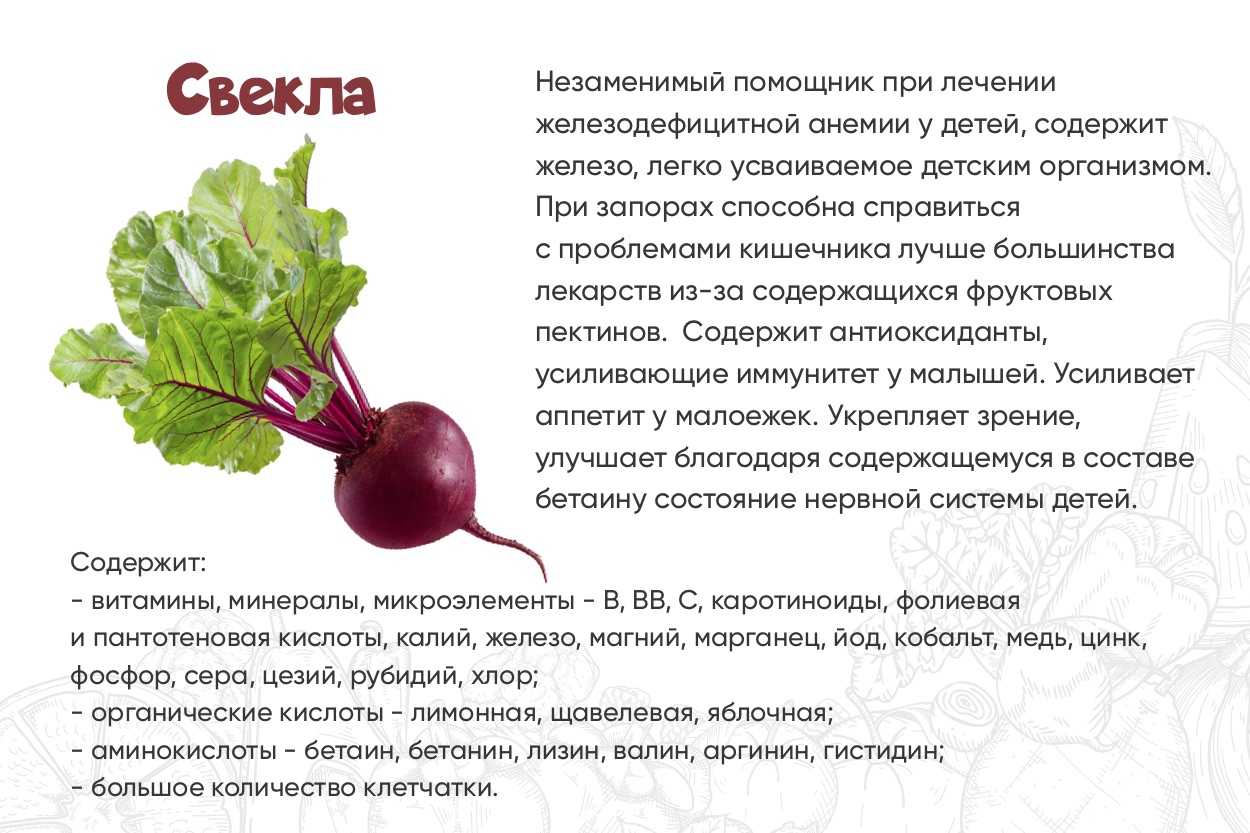 Черешковый сельдерей: выращивание из семян в открытом грунте