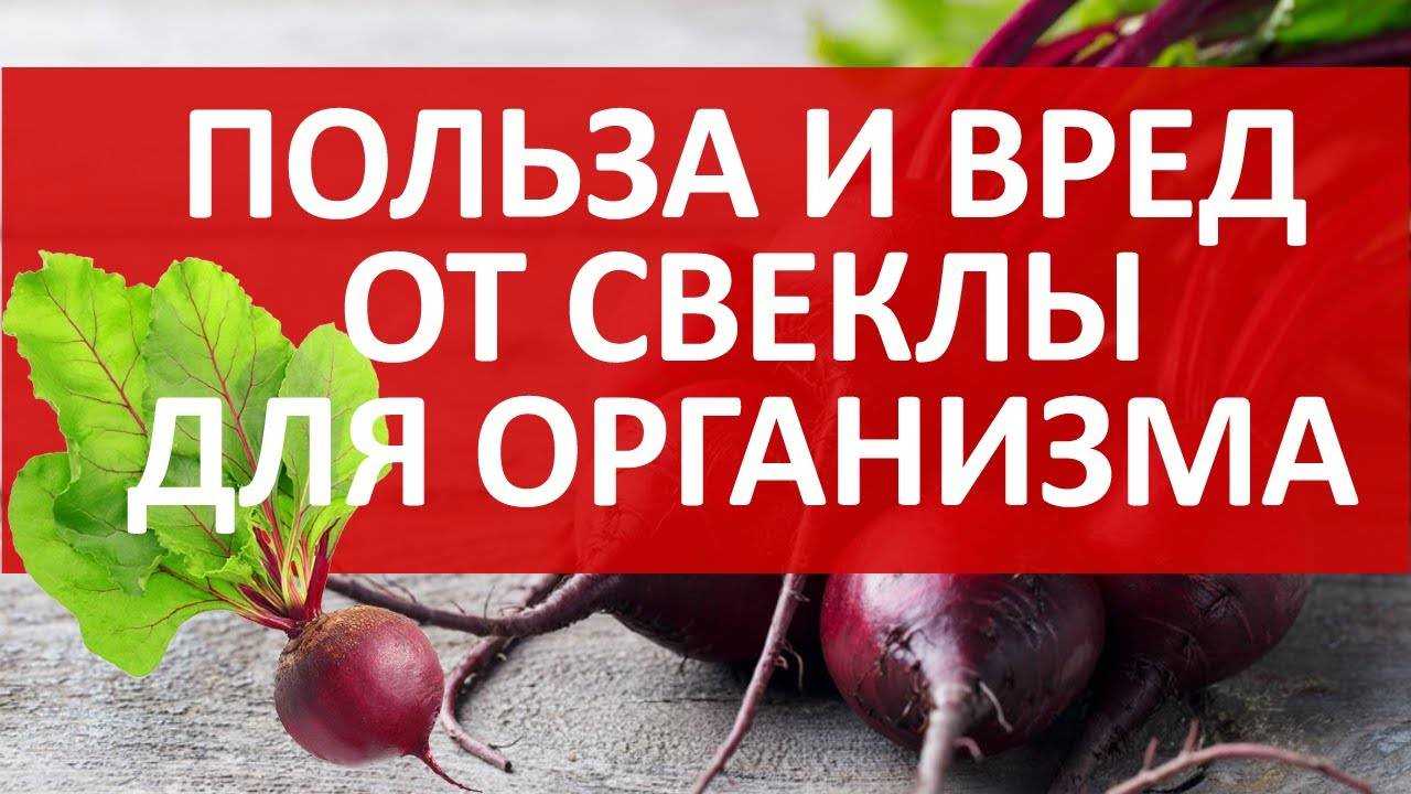 Свекла - состав, калорийность, норма в день, польза и вред
