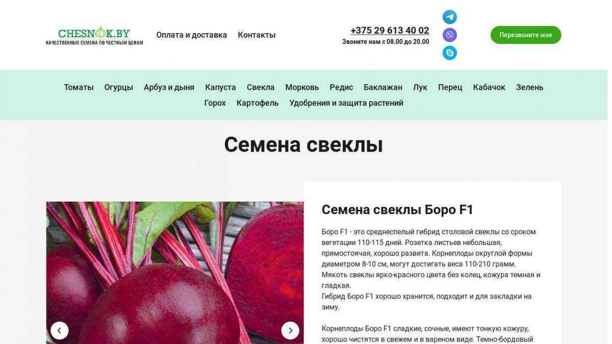 Кормовая свекла и сахарная свекла: чем отличаются визуально, разница в составе и сферах применения