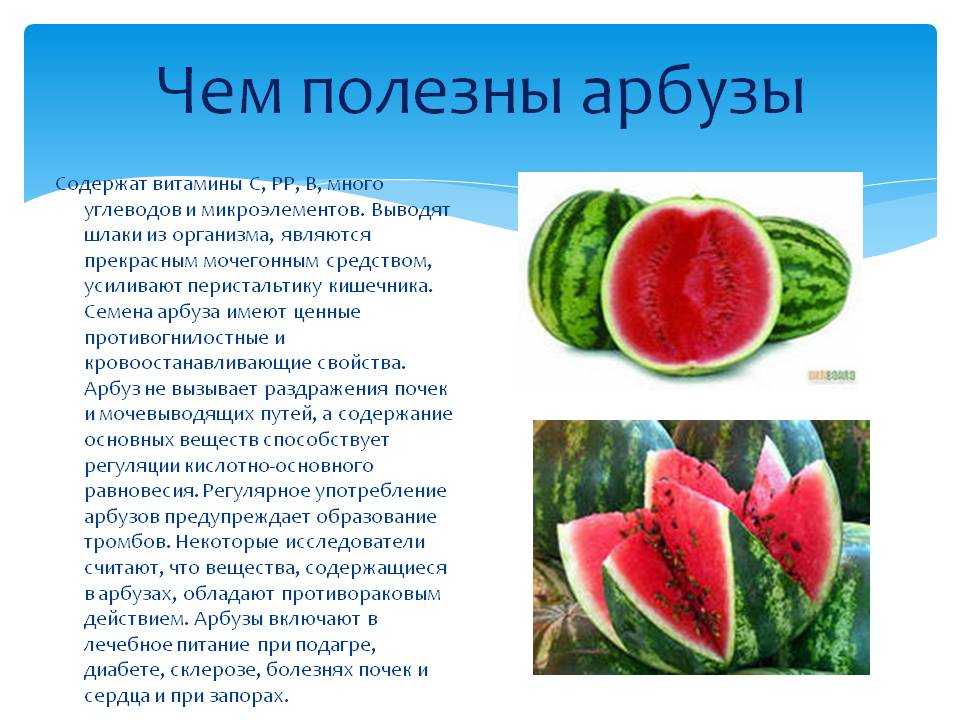 Полезные свойства и вред арбуза | польза и вред