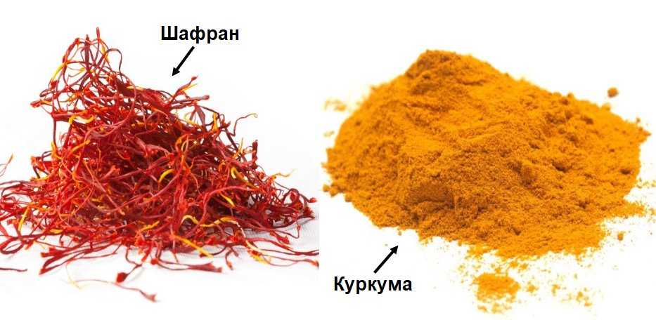 Приправа шафран - полезные свойства и все способы ее применения