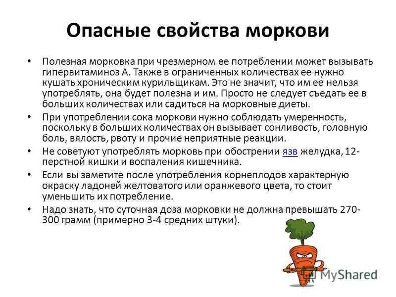 Морковь – полезные свойства, вред и состав продукта