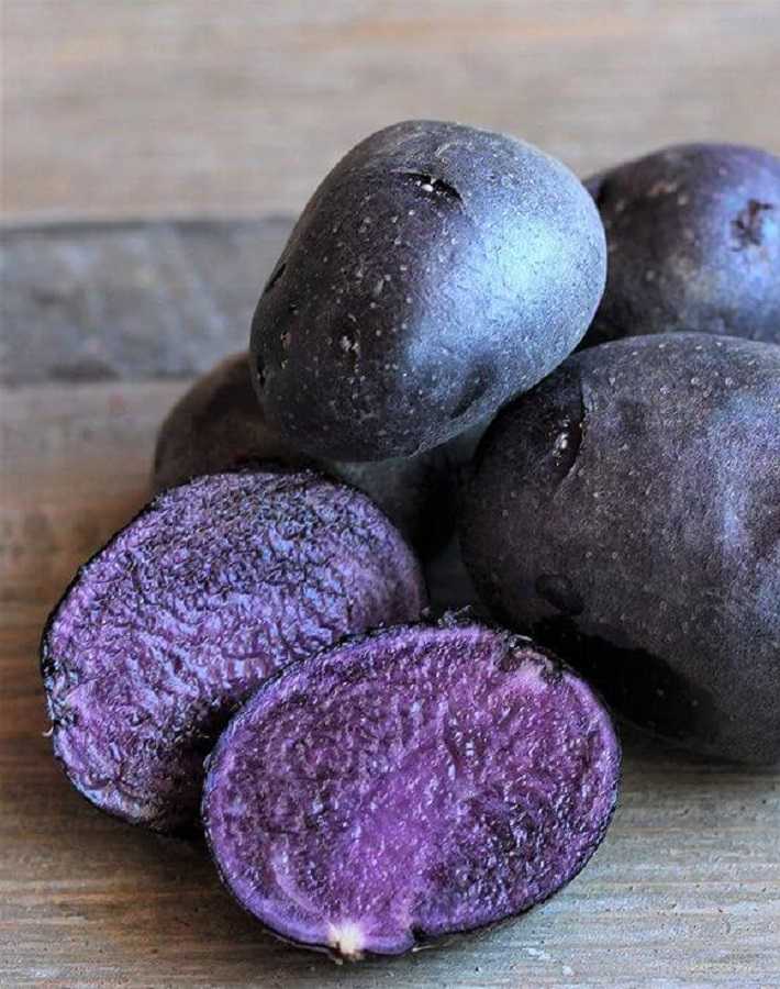 Фиолетовая картошка сорта, полезные свойства