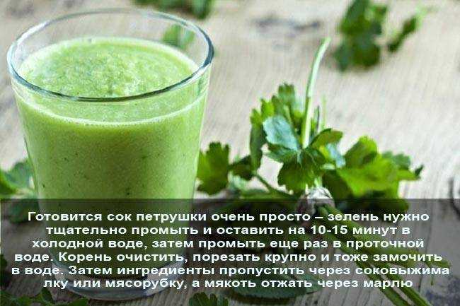 Петрушка — польза и вред для здоровья мужчин и женщин, свойства отвара