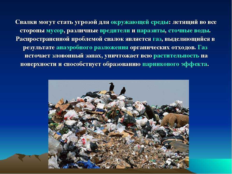 Проект свалка в петербурге