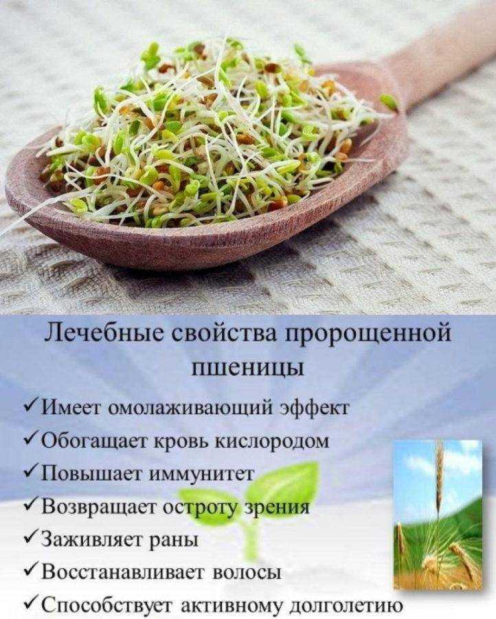В чем польза ржи, какой хлеб лучше - ржаной или пшеничный, как хранить хлеб, ответы в программе Живая еда с Сергеем Малозёмовым