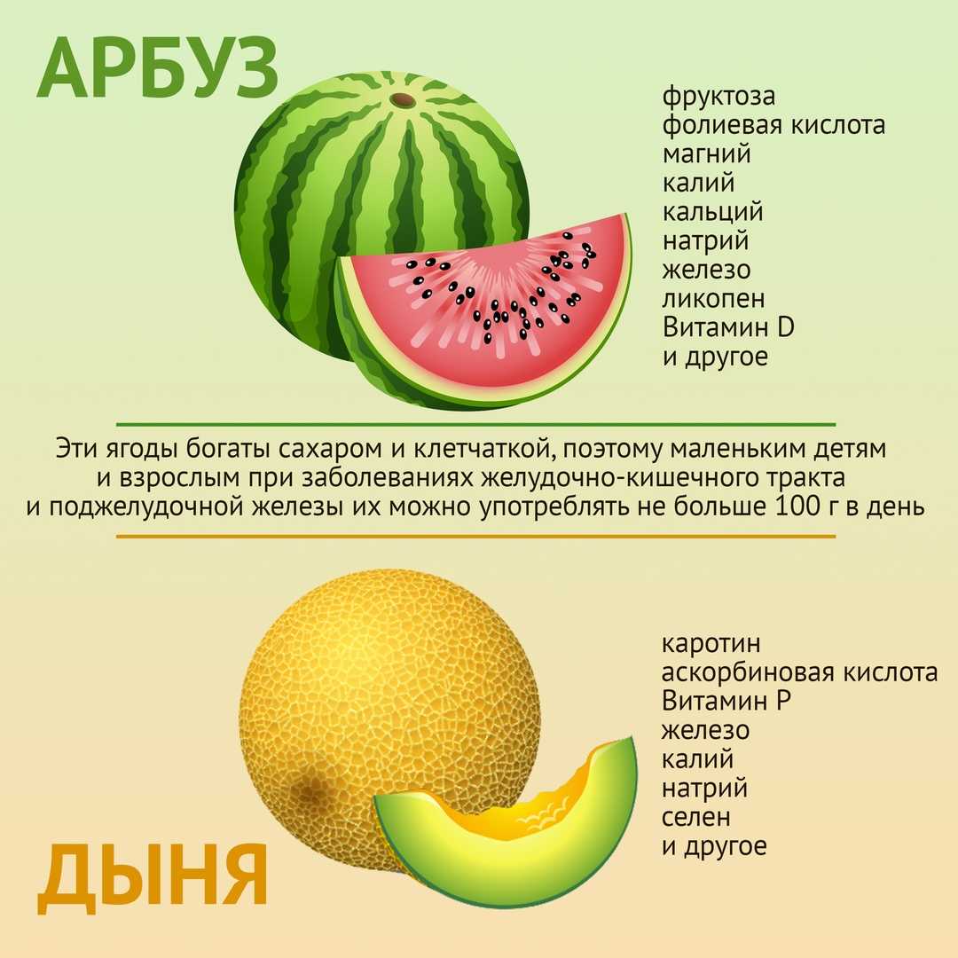 Арбуз и дыня: инструкция по применению