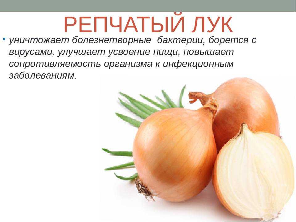 Белый лук в сравнении с обычным, польза и вред, как и где хранить