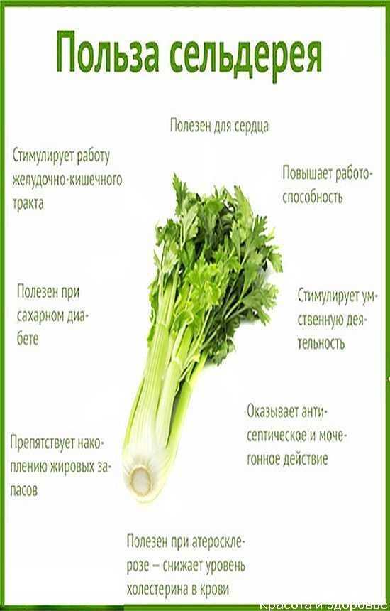 Питание при подагре: что можно и нужно есть